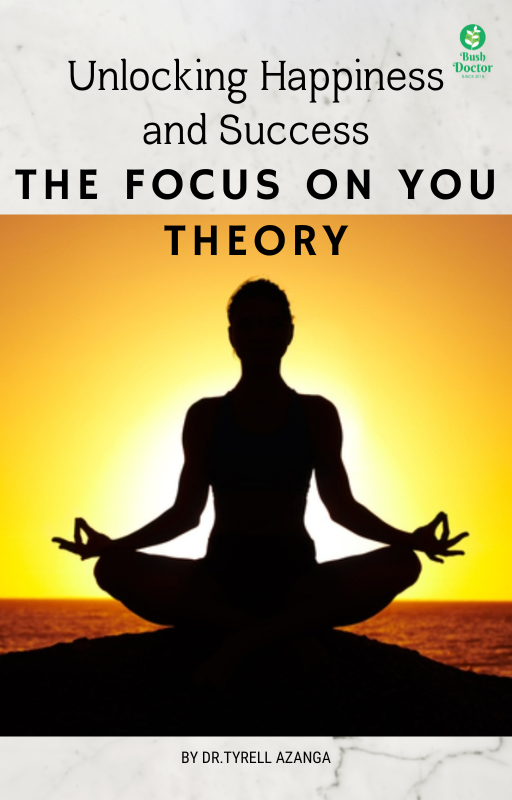 Unlocking Happiness and Success: The Focus on You Theory eBook