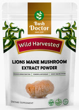 Carregar imagem no visualizador da galeria, Lions Mane Mushroom Hericium Erinaceus organic Extract Powder premium quality
