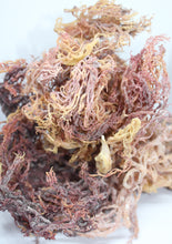 Carregar imagem no visualizador da galeria, Sea Moss 200 Vegan Capsules Wild Harvested 102 Minerals Irish Moss Dr Sebi cell food alkaline super food
